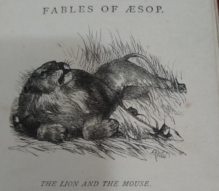 IMG_20250923_130716_edit_743576159243741